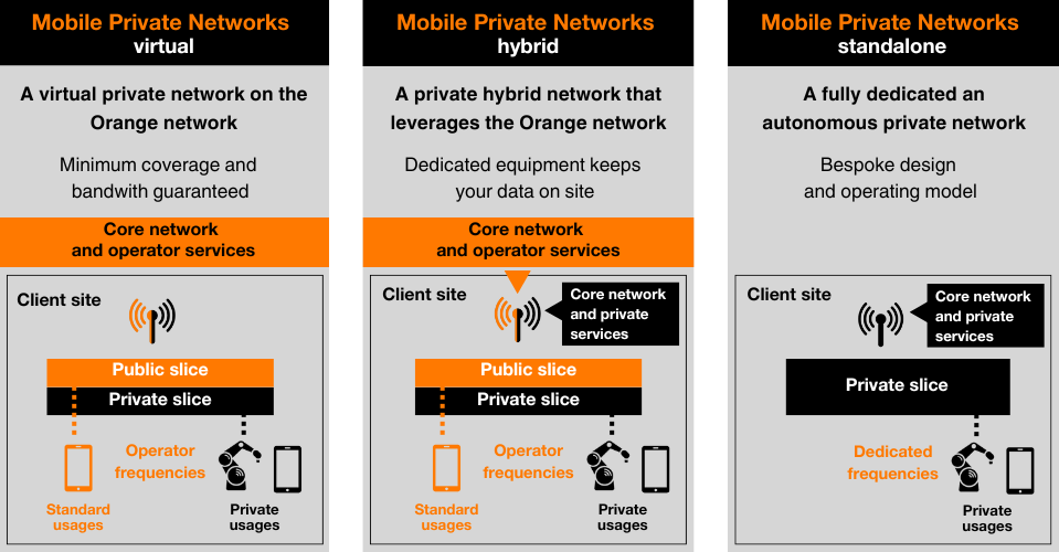 Diagram describing Orange Business's MPN offerings